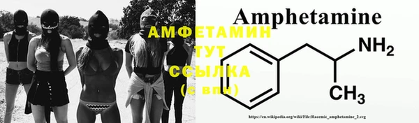 гидра Аркадак
