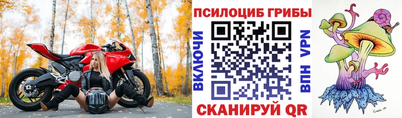 Галлюциногенные грибы ЛСД  Долгопрудный 