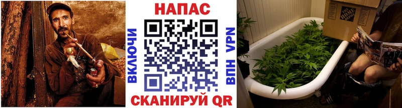 Конопля OG Kush  где купить наркотик  ОМГ ОМГ онион  Долгопрудный 
